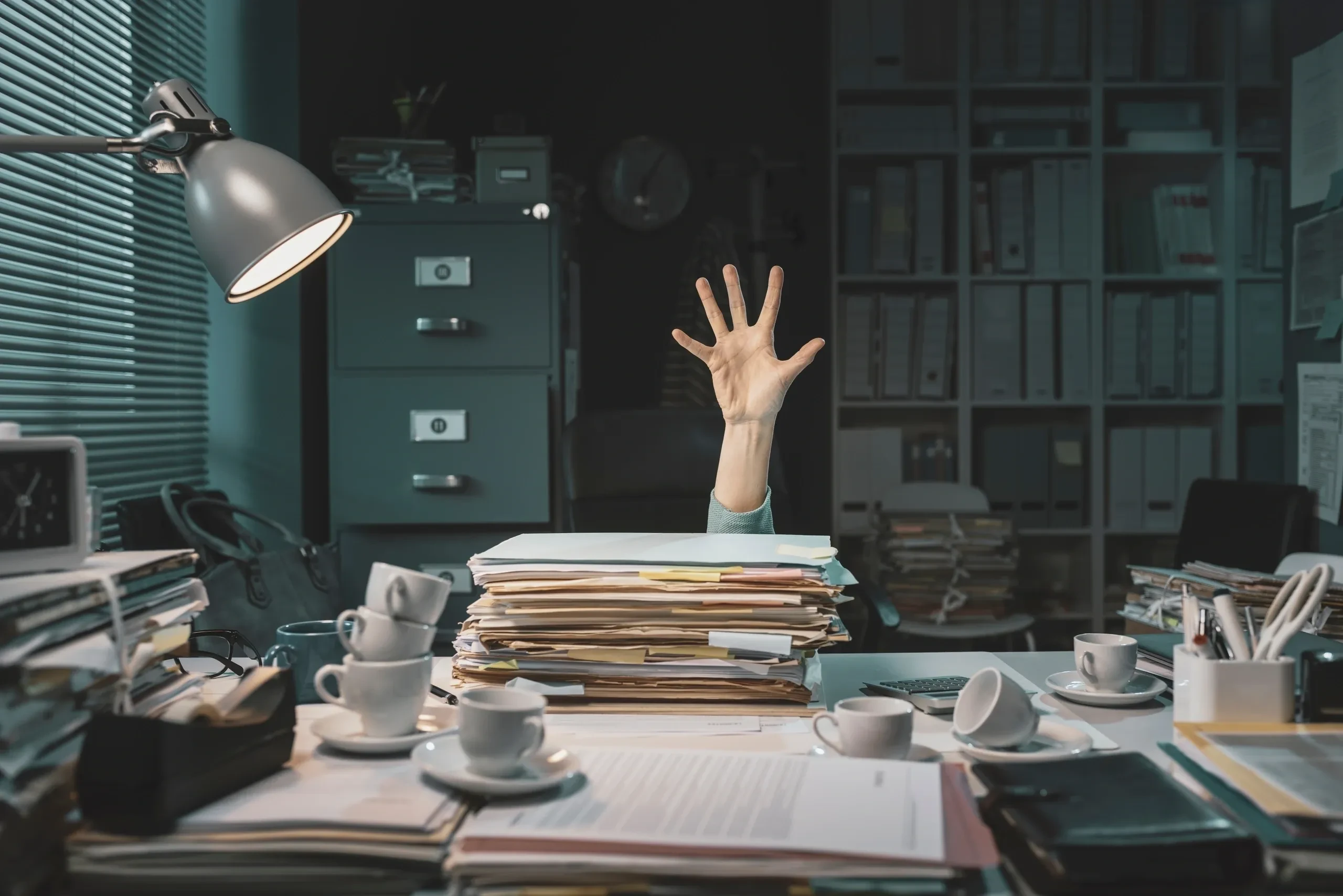 Professional accounting experts in BAS & GST for businesses across the Central Coast and surrounds.